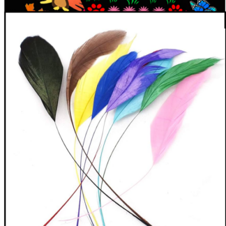 Extreme FeatherFun