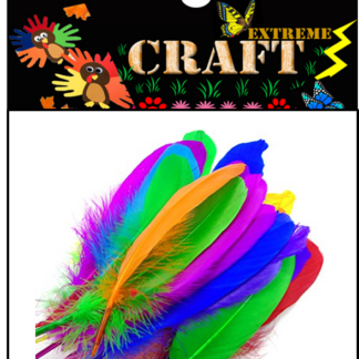 Extreme Creative Colorful Feathers – for Kids